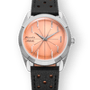 Antarctic Spider Salmon - Nivada Grenchen