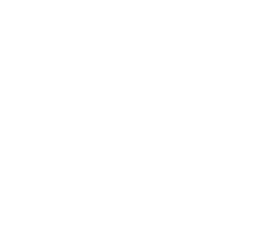 Nivada Grenchen Logo