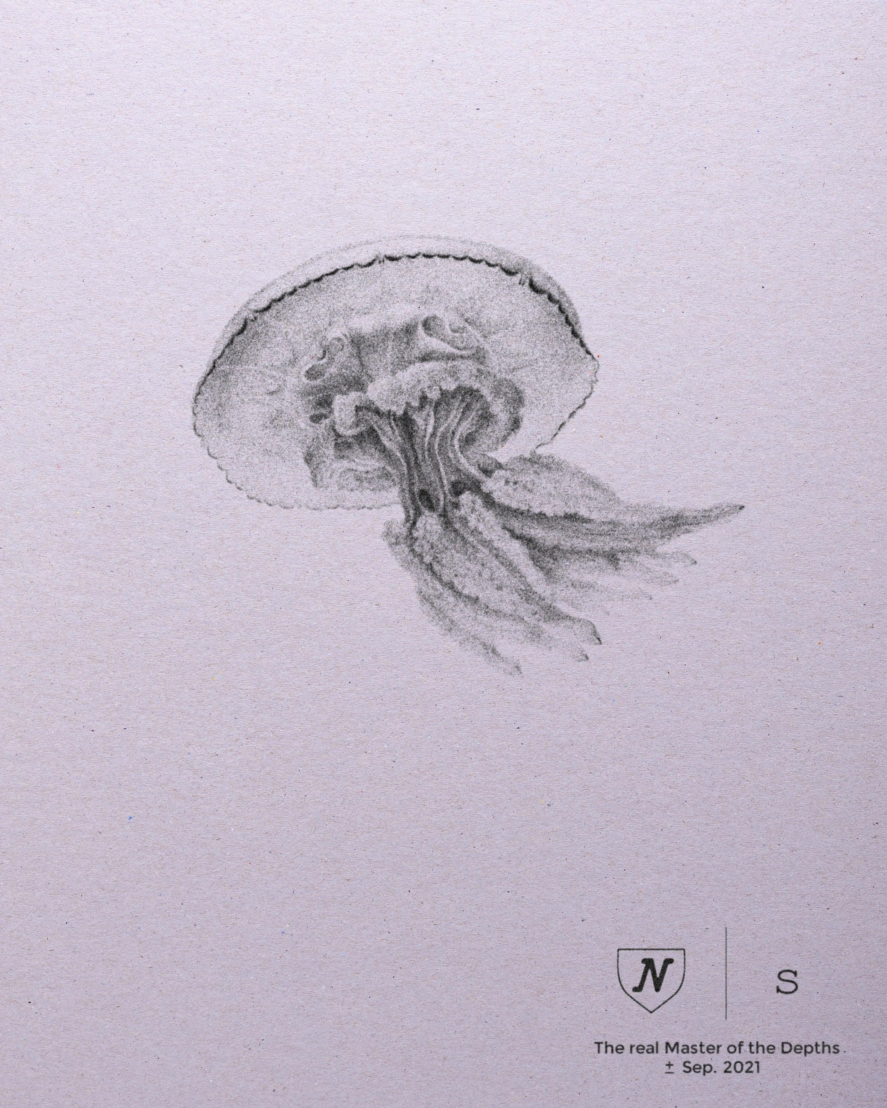 Jellyfish Depthmaster - Nivada Grenchen