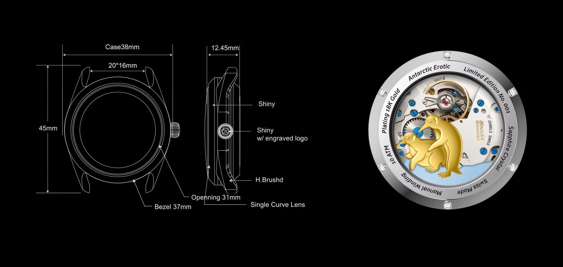 Technical drawing of the Antarctic 38 mm Spider case, front and side views, with the IP gold pin buckle and the see-through caseback